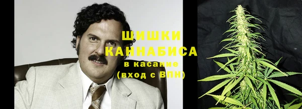 прущий лед Богородицк