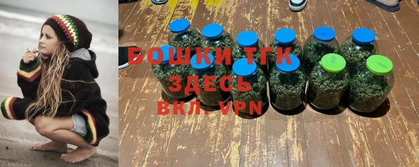 mix Богородск
