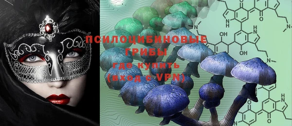 a pvp Протвино