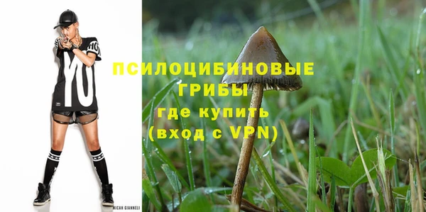 mix Богородск